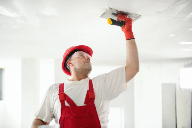 Best Mold Removal for HVAC Installations  in Warsaw, IN