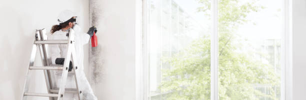 Best HVAC Mold Inspection and Cleaning  in Warsaw, IN