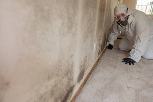 Best Comprehensive Air Testing for Mold Contaminants  in Warsaw, IN