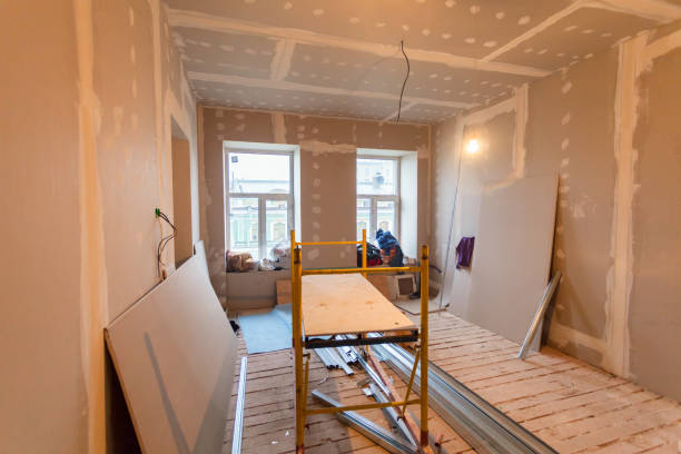 Best Black Mold Removal  in Warsaw, IN